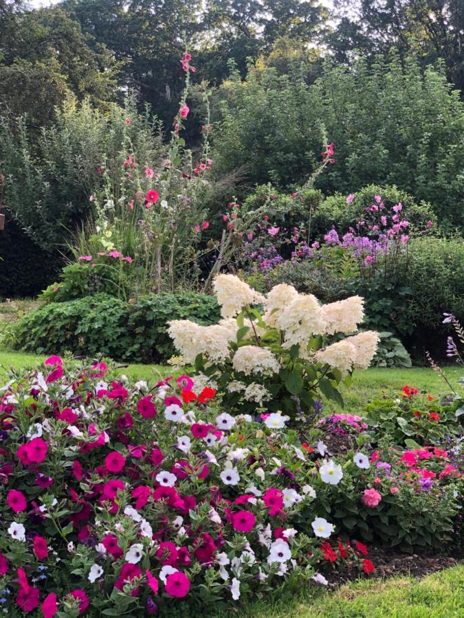 Bed and Breakfast Chaseborough Farm Verwood Exterior foto