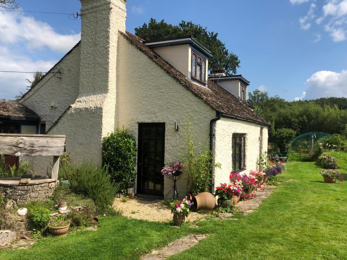 Bed and Breakfast Chaseborough Farm Verwood Exterior foto