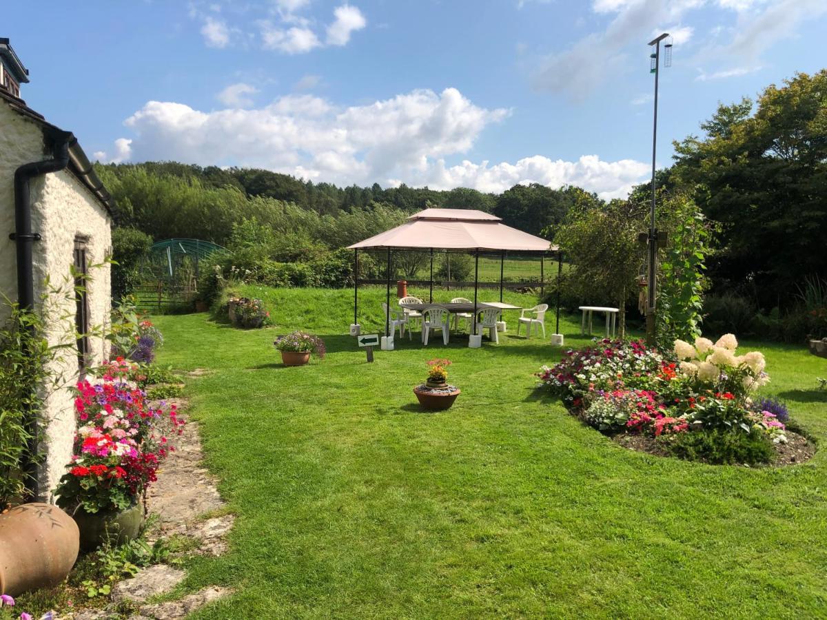 Bed and Breakfast Chaseborough Farm Verwood Exterior foto