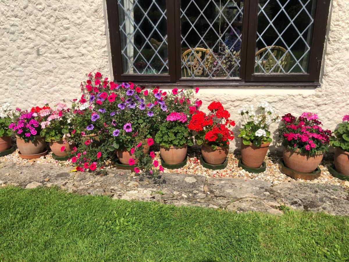 Bed and Breakfast Chaseborough Farm Verwood Exterior foto