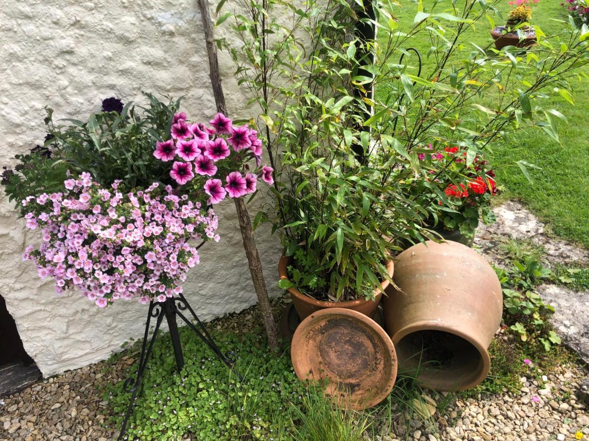 Bed and Breakfast Chaseborough Farm Verwood Exterior foto